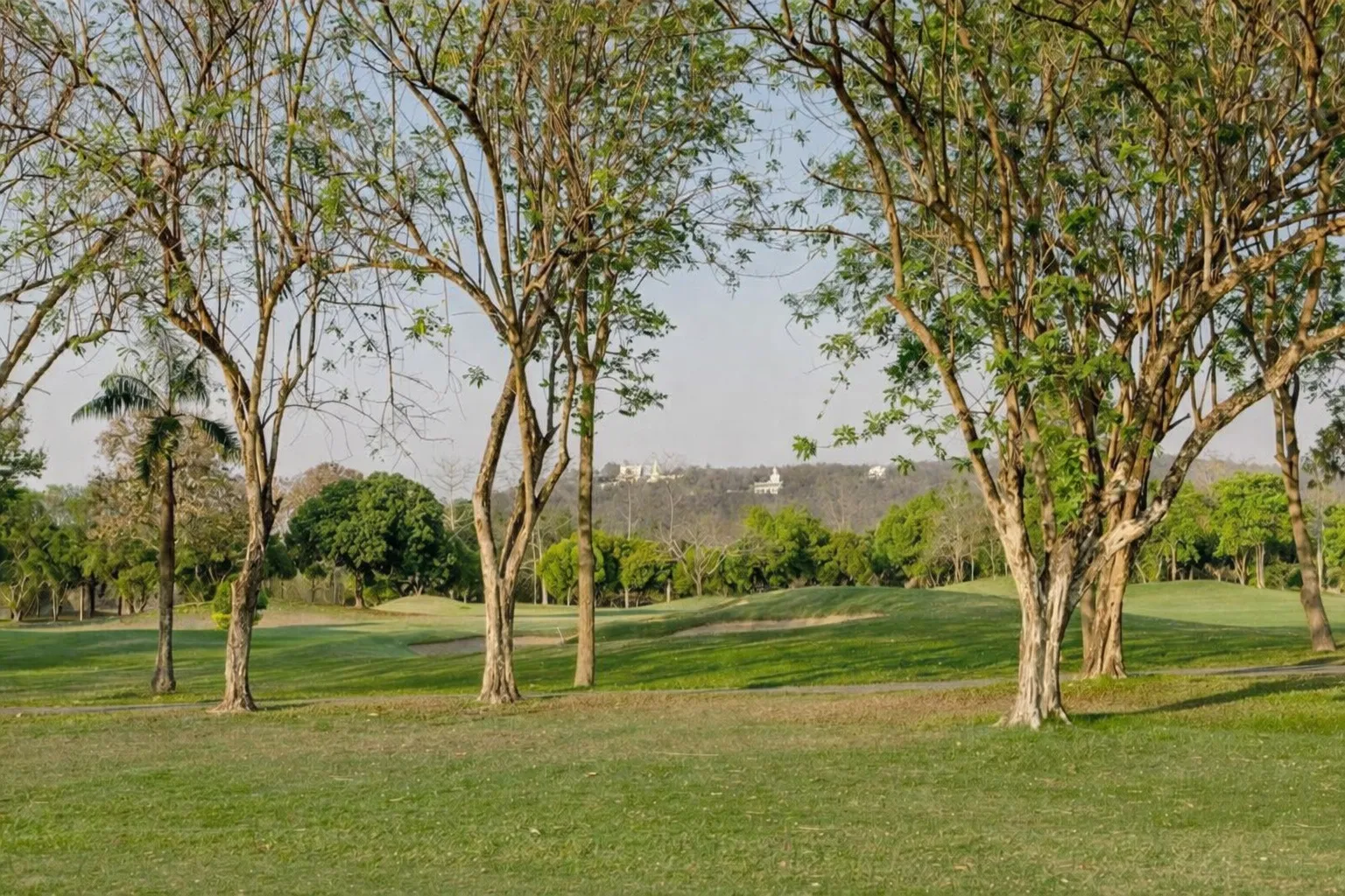 12.golf-course-landscape-chiang-mai Golf course landscape Chiang Mai land asset