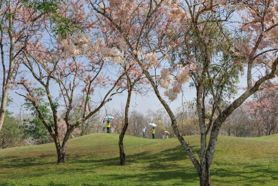 Large land holding golf resort Chiang Mai