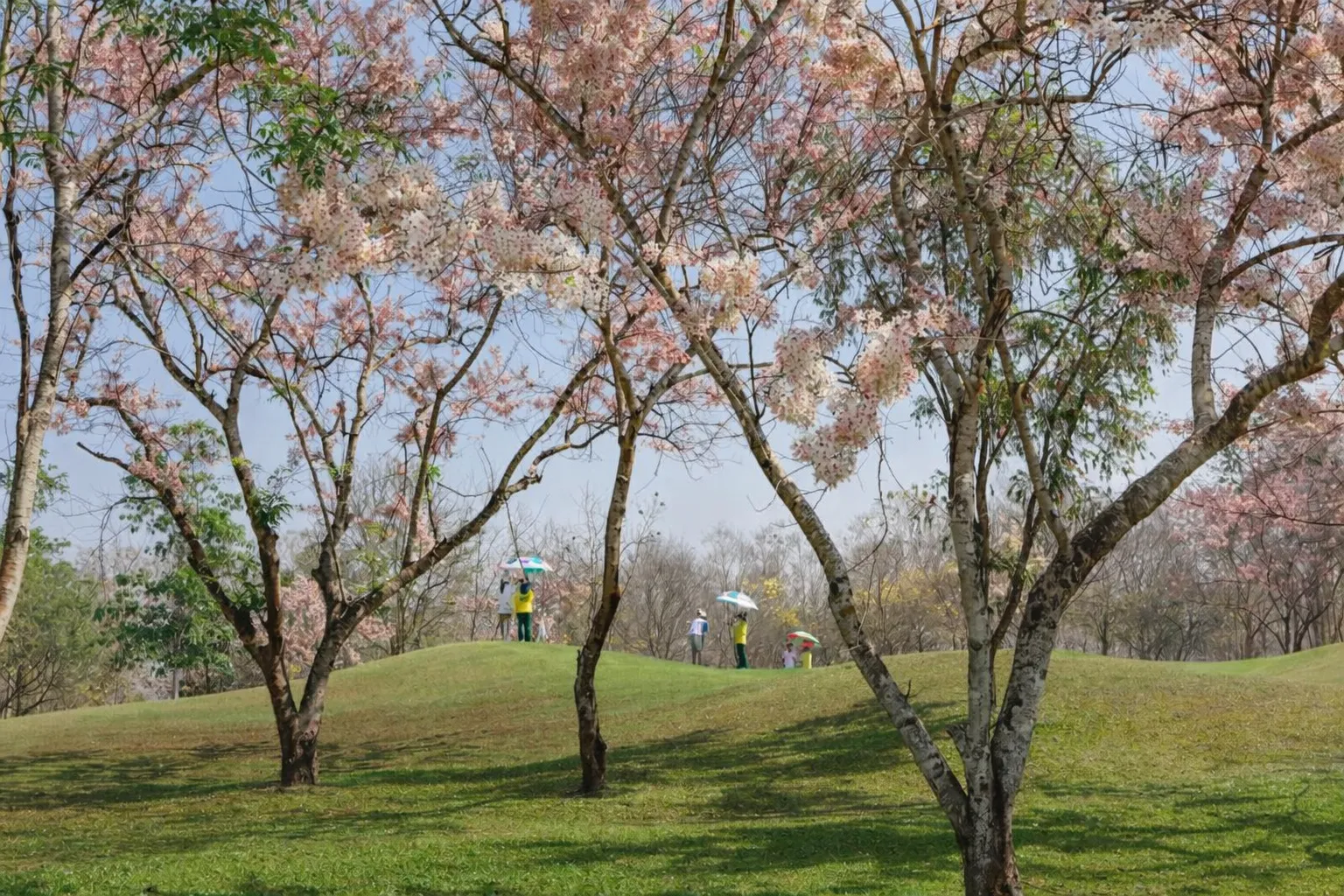 13.golf-resort-land-holding-chiang-mai Large land holding golf resort Chiang Mai