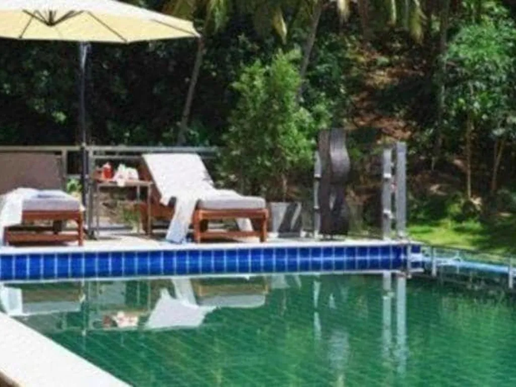 Private pool area with garden