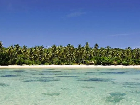 Tropical beach and clear sea near hotel