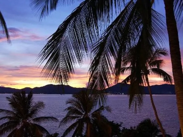 Sunset view with palm trees near hotel