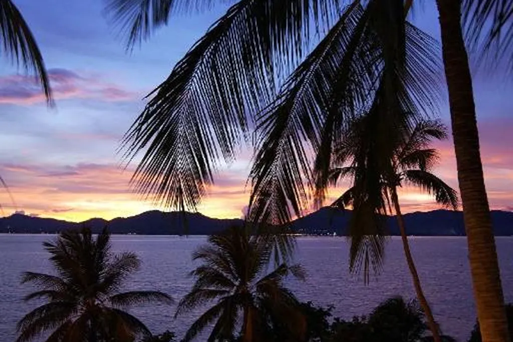 Sunset view with palm trees near hotel