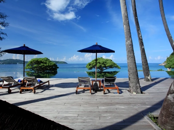 Poolside sunbeds with palm trees in Phuket