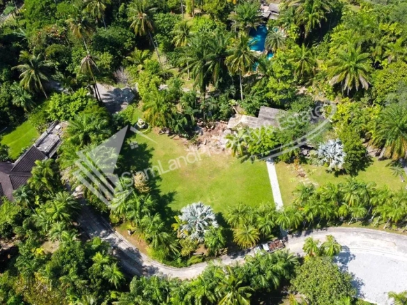 Nature forest resort aerial