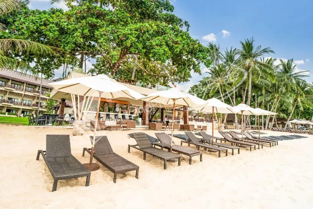 Comfortable beachfront sun loungers arranged neatly on the white sand under shade umbrellas