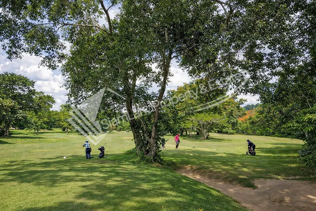 Lush green golf course fairway layout beautifully surrounded by mature tropical trees